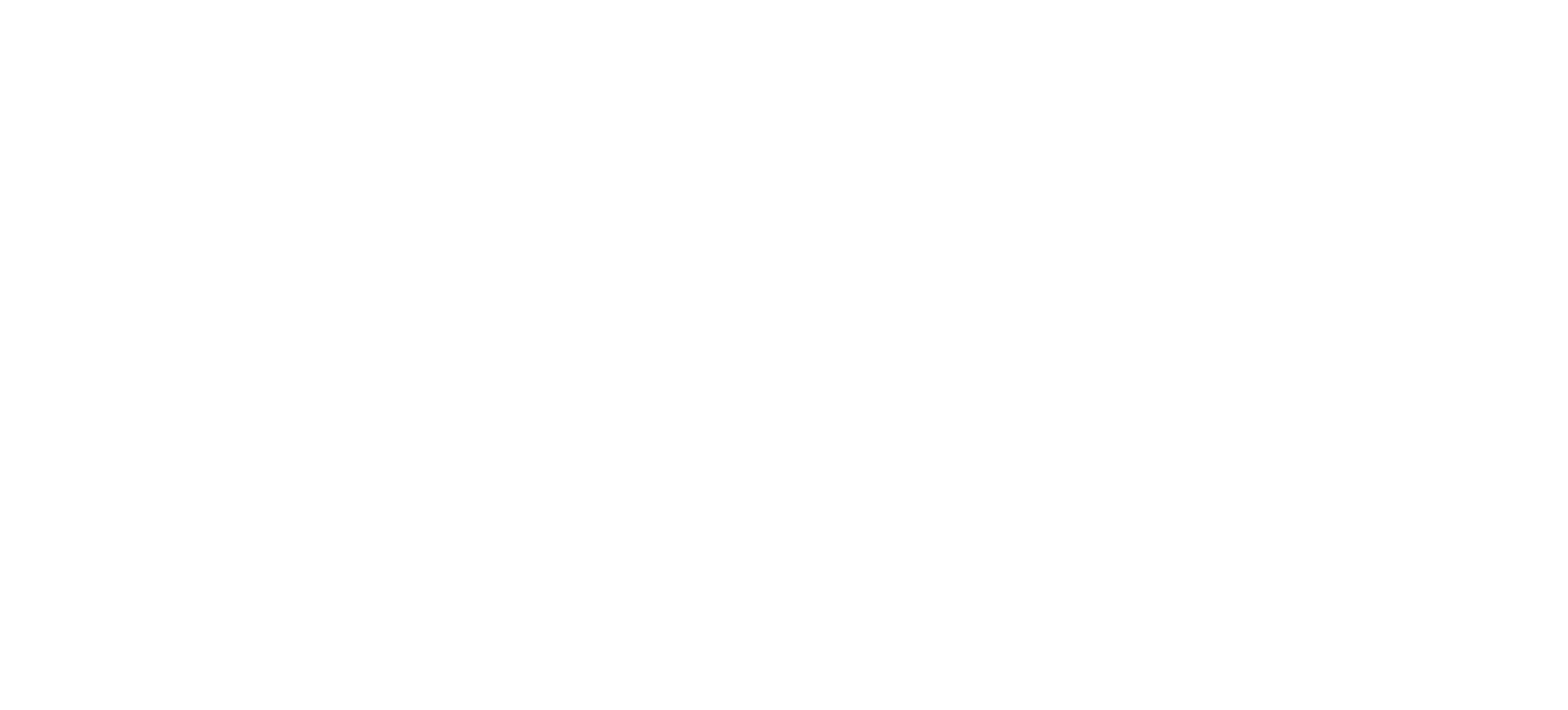 deBR Management SRL White Logo